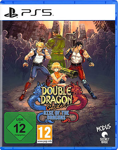 Double Dragon Gaiden: Rise of the Dragons Cover