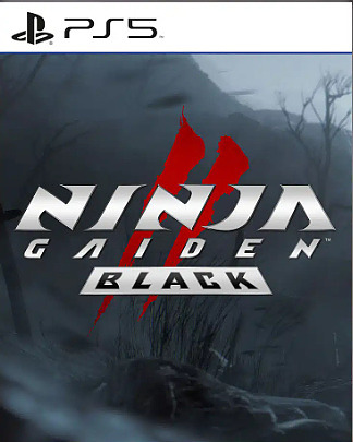 Ninja Gaiden II Black (Asia) Cover