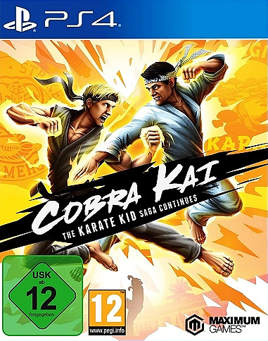 Cobra Kai The Karate Kid Saga Continues Cover