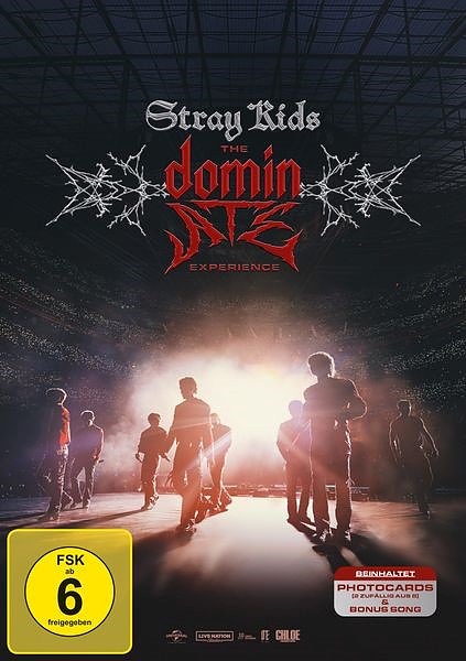 Stray Kids: The Dominate Expirience Cover