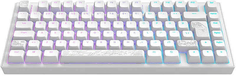 Dark Project Tastatur Terra Nostra White  (ISO DE) Cover