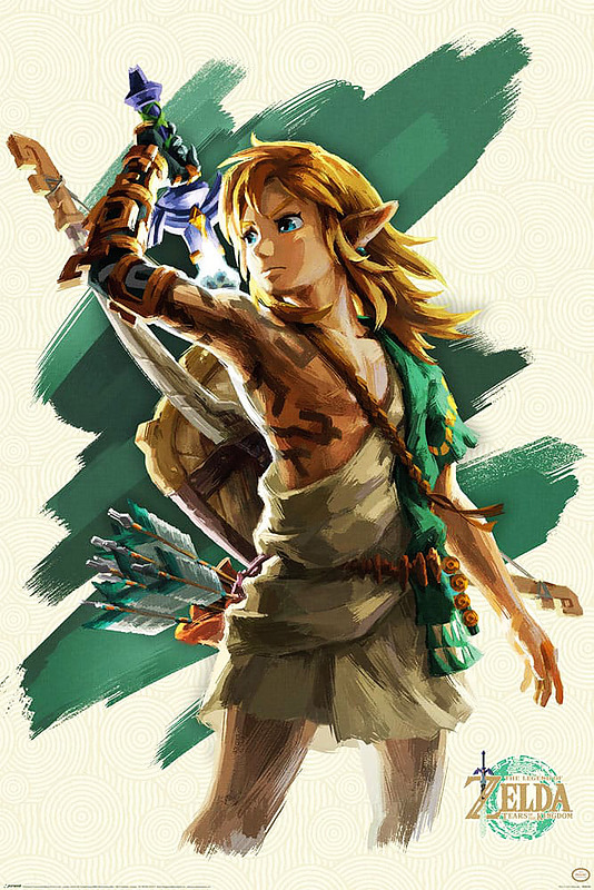 Zelda Tears of the Kingdom Poster - Link Unleashed Cover