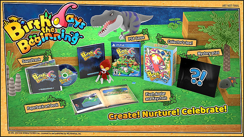 Birthdays - The Beginning Limited Edition (US) Cover