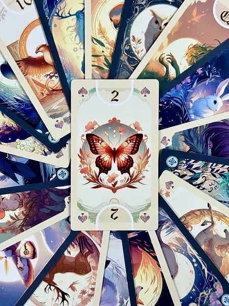 FaeKin Rueckseite