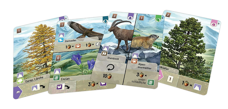 Mischwald - Alpin Rueckseite