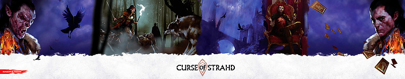 Dungeon Master Screen Fluch des Strahd Cover