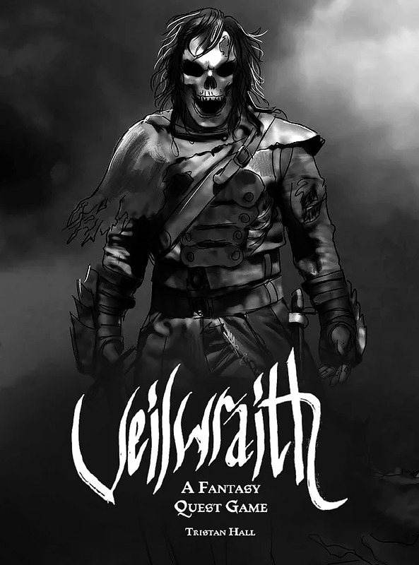 Veilwraith (Englisch) Cover